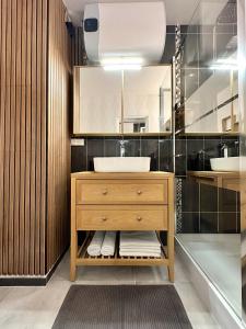 a bathroom with a sink and a mirror at Suite Hyper Centre Strasbourg in Strasbourg +20 photos
