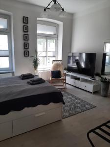 a bedroom with a bed and a flat screen tv at Charmantes, helles City-Apartment - nahe Hafen, Schloss & Altstadt in Schwerin