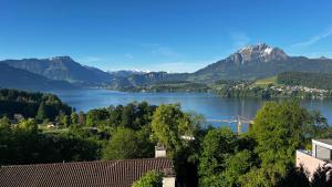 a view of a lake with mountains in the background at Lakeside Lucerne in Lucerne +20 photos