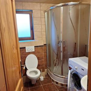 a bathroom with a shower and a toilet and a sink at Dom na prenájom v Terchovej in Žilina +1 photo