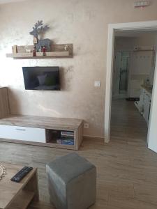 Телевізор і / або розважальний центр в Apartman Maksimović Divčibare