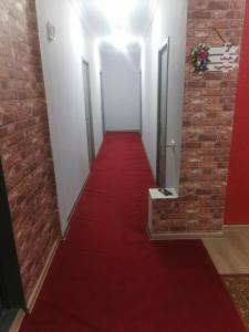 a long corridor with a red carpet and a brick wall at Nani in Bagdatʼi