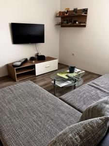 TV a/nebo společenská místnost v ubytování Apartman Borna