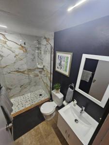 サンファンにあるSanturce Studios near La Placita 5のトイレ、シャワー、洗面台を備えたバスルーム