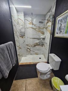 a bathroom with a toilet and a shower at Santurce Studios Newly Renovated 6 in San Juan +6 photos