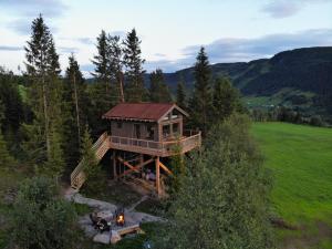 an overhead view of a tree house in the woods at Fjellgla tretopphytte in Holo