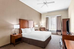 una camera d'albergo con un letto e una televisione di Comfort Inn & Suites Grenada a Grenada