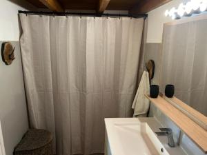 une salle de bain avec un rideau de douche et un lavabo dans l'établissement Appartement montagne, à Andon
