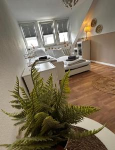 een grote groene plant in een kamer met een bed bij The Climb in Koblenz