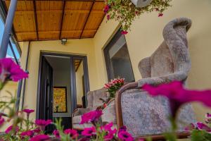 Fotografie z fotogalerie ubytování AcAsA v destinaci Turda
