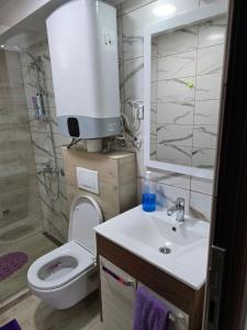 a bathroom with a toilet and a sink and a shower at Nova Panorama in Vrdnik +15 photos