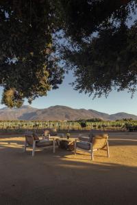 three park benches sitting under a tree with mountains in the background at Bruma Wine Resort in Valle de Guadalupe