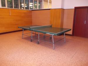 Tenis stołowy w obiekcie Hotel Bezdez Stare Splavy lub pobliżu