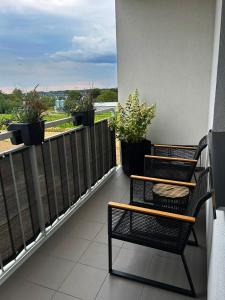 a balcony with two chairs and potted plants at Apartamenty Termal Water Długa 30 in Uniejow