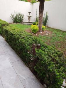 Zahrada ubytování Hermosa casa grande en San Manuel