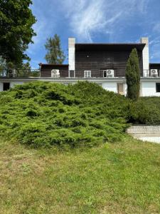 Aed väljaspool majutusasutust B&B Vltavín