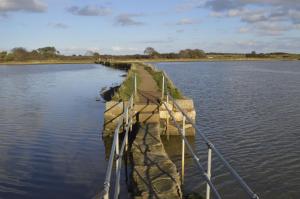 Φωτογραφία από το άλμπουμ του Birdham Three σε Bembridge