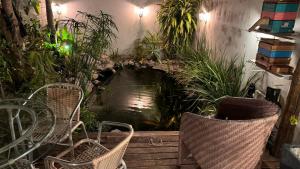 a garden with two chairs and a pond at Tropical Residencial in Iranduba