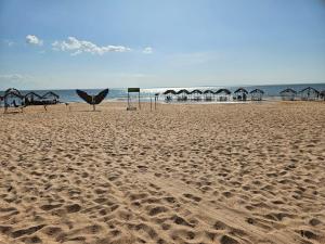 a beach with a bird standing on the sand at Casa de Praia Pindobal in Santarém