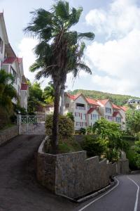 a palm tree on the side of a road at The View, Goodwood Park Lux Townhouse in Diego Martin