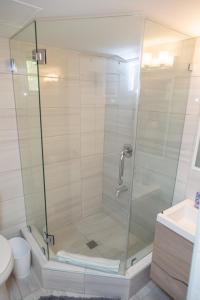 a shower with a glass door in a bathroom at The View, Goodwood Park Lux Townhouse in Diego Martin +26 photos