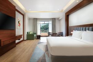 Holiday Inn Resort Kathmandu Budhanilkantha by IHG的电视和/或娱乐中心
