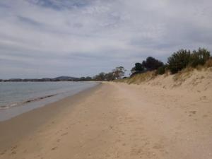 a sandy beach with water and trees on it at Beach Holiday Home-Close to Airport-3 Bed & 2 Bath in Lauderdale