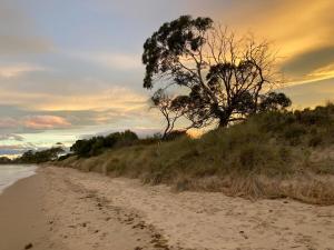a sandy beach with a tree on the side at Beach Holiday Home-Close to Airport-3 Bed & 2 Bath in Lauderdale