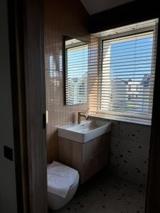 a bathroom with a sink and a toilet and a window at Kotedžas su dviem miegamaisiais in Palanga +19 photos