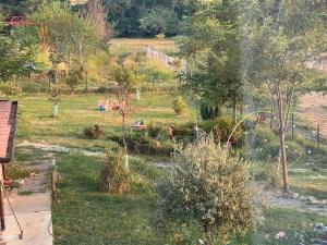 a view of a garden with trees and bushes at Nido nel verde in Grazzano Visconti