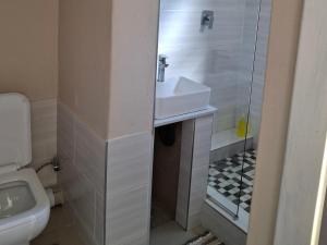 een badkamer met wastafel, douche en toilet bij Serene Pastures in Midrand +1 foto