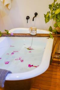 Fotografie z fotogalerie ubytování Entire Boutique Home - The Rustic Cottage - Canungra v destinaci Canungra