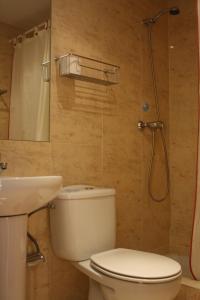 a bathroom with a toilet and a sink and a shower at Hostal Santa Cruz in Madrid +15 photos