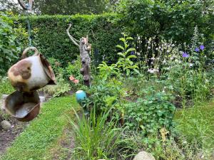 Zahrada ubytování FeWo's am Gutshaus im Ostseeland