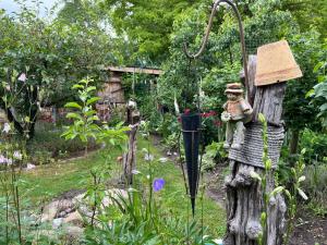 Zahrada ubytování FeWo's am Gutshaus im Ostseeland + 68 fotografií