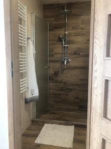 a bathroom with a shower with wooden walls at AP1, Hrubá Skála, Apartmány Nad Lípou in Hrubá Skála +12 photos