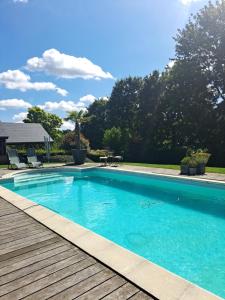 a swimming pool next to a wooden deck at Le Muysgry in Namur