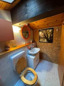 a small bathroom with a toilet and a sink at Casa Vacanze Vigolana in Centa San Nicolò