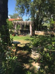 un giardino con una cabina di legno con un albero di LA BRINDILLE Petit mas provencal meublé de tourisme 3 étoiles 2-3 personnes 1 piece 30 m2 tout confort lisière foret jardin Jacuzzi Piscine a Saint-Paul-en-Forêt