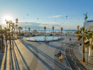 a park with a pool and palm trees on a beach at Miami Beach Hotel Tel Aviv in Tel Aviv