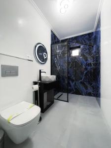 a bathroom with a white toilet and a shower at RV Premium Apartments in Arad +76 photos