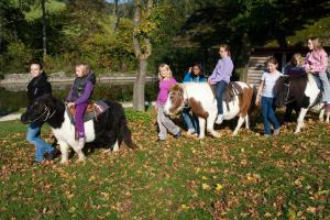 Foto dalla galleria di Familienhotel Hochrieß a Purgstall