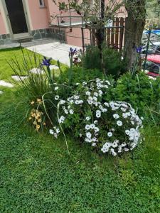 Zahrada ubytování Fior d'olivo - Villa con piscina privata a pochi minuti dal centro di Sestri Levante, mare e spiaggie + 18 fotografií