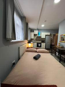 Kuchyň nebo kuchyňský kout v ubytování Central London - ground floor 2 bedrooms apartment