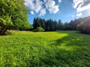 un prato verde con alberi sullo sfondo di Tree house with private meadow in the middle of the forest a Bytca