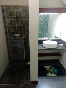 Koupelna v ubytování Agréable appartement t2 à St leu