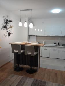 Kuchyň nebo kuchyňský kout v ubytování Apartman Luka