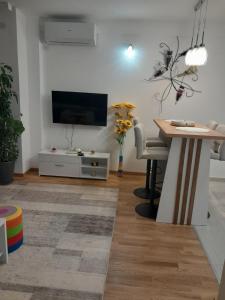 TV a/nebo společenská místnost v ubytování Apartman Luka + 7 fotografií