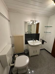 a bathroom with a white toilet and a sink at Ferienwohnung Gisela in Lindenfels +22 photos