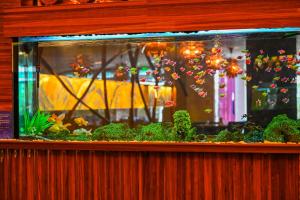 a fishtank filled with plants and a aquarium at Gold Majesty Hotel in Bursa +45 photos